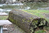 KillCreek > Snoqualmie photo
