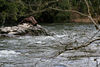 KillCreek > Snoqualmie photo