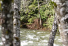 KillCreek > Snoqualmie photo