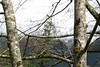 KillCreek > Snoqualmie photo