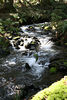 KillCreek > Camping: Part Two! photo