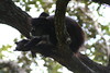 KillCreek > Belize & Guatemala photo