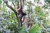 KillCreek > Belize & Guatemala photo