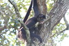 KillCreek > Belize & Guatemala photo