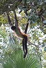KillCreek > Belize & Guatemala photo