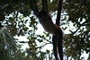 KillCreek > Belize & Guatemala photo