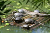 KillCreek > Belize & Guatemala photo
