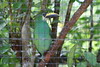 KillCreek > Belize & Guatemala photo