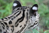 KillCreek > Belize & Guatemala photo