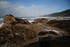 KillCreek > Olympic Peninsula : January 2008 photo