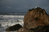 KillCreek > Olympic Peninsula : January 2008 photo