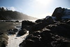 KillCreek > Olympic Peninsula : January 2008 photo