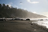 KillCreek > Olympic Peninsula : January 2008 photo