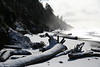 KillCreek > Olympic Peninsula : January 2008 photo