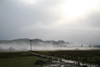 KillCreek > Olympic Peninsula : January 2008 photo