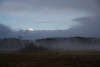 KillCreek > Olympic Peninsula : January 2008 photo