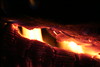 KillCreek > Olympic Peninsula : January 2008 photo
