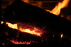 KillCreek > Olympic Peninsula : January 2008 photo