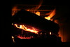 KillCreek > Olympic Peninsula : January 2008 photo
