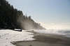 KillCreek > Olympic Peninsula : January 2008 photo