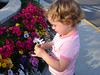 KillCreek > Evie Flowers photo